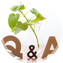 Ｑ＆Ａ